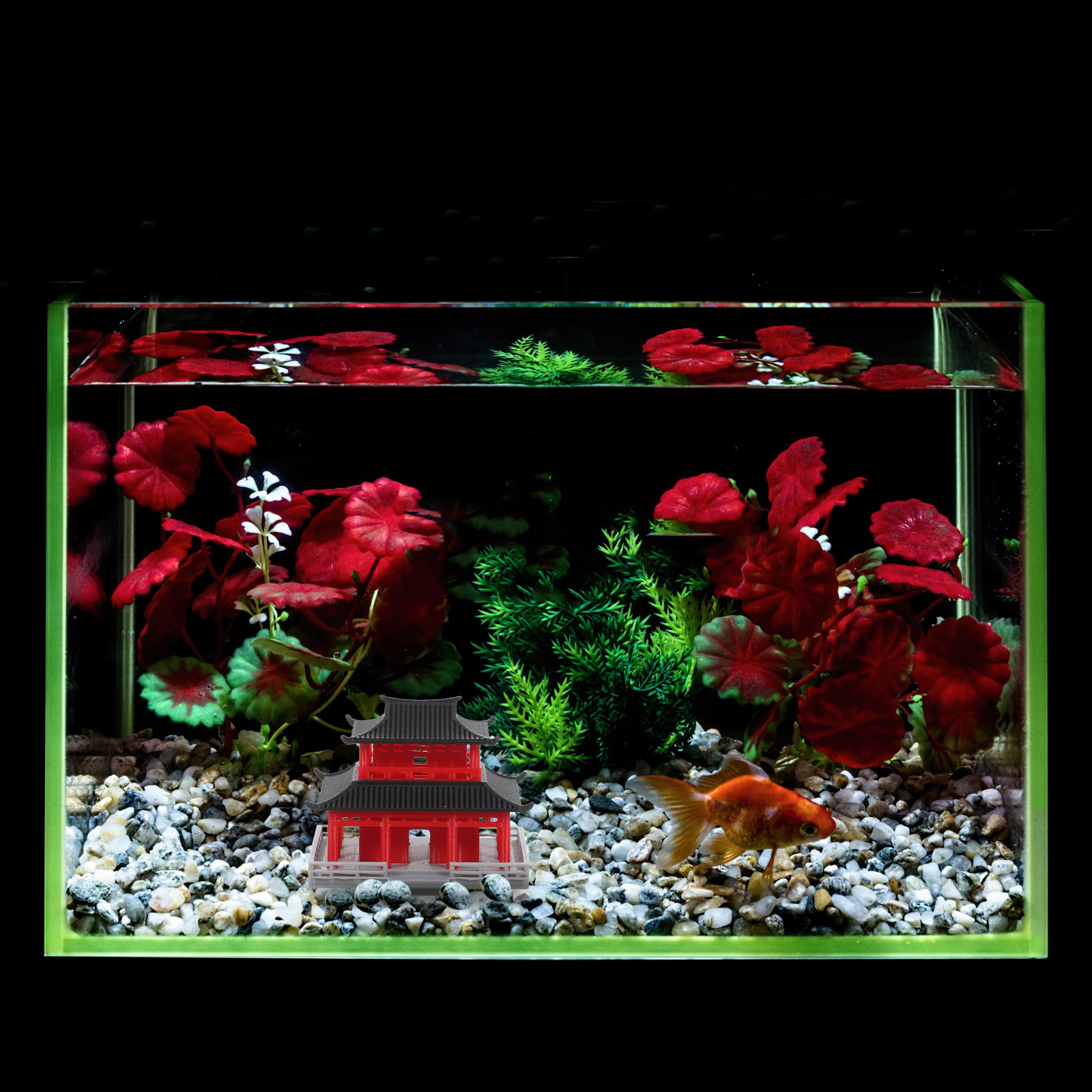 Mini Paviljoen Pagode Chinese  - Aquarium & Marine Museum recensie en prijs