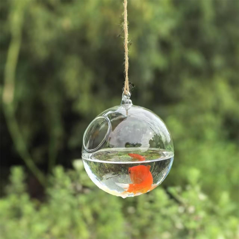 Kleine verpakkingsdiameter=10c - Aquarium & Marine Museum recensie en prijs