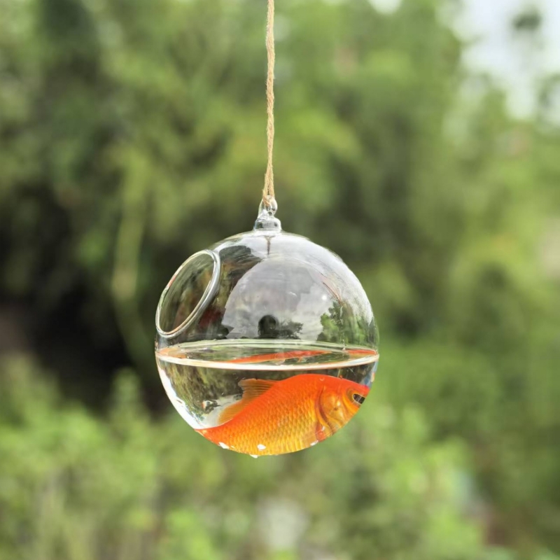 Kleine verpakkingsdiameter=10c - Aquarium & Marine Museum recensie en prijs