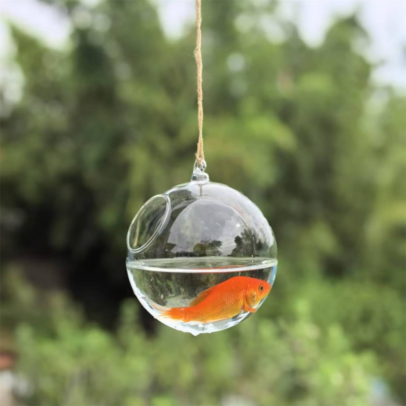 Kleine verpakkingsdiameter=10c - Aquarium & Marine Museum recensie en prijs