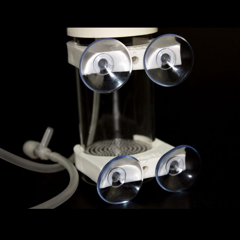 Aquarium Cichliden Tumbler Vis - Aquarium & Marine Museum recensie en prijs