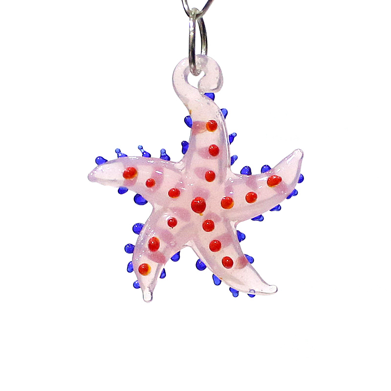Schattige zeester charme minia - Aquarium And Marine recensie en prijs