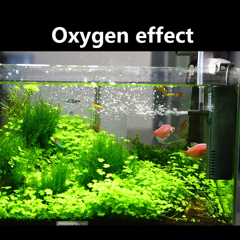 Sunsun Mini Nano 111b 311b 611 - Marine Aquarium Chiller recensie en prijs